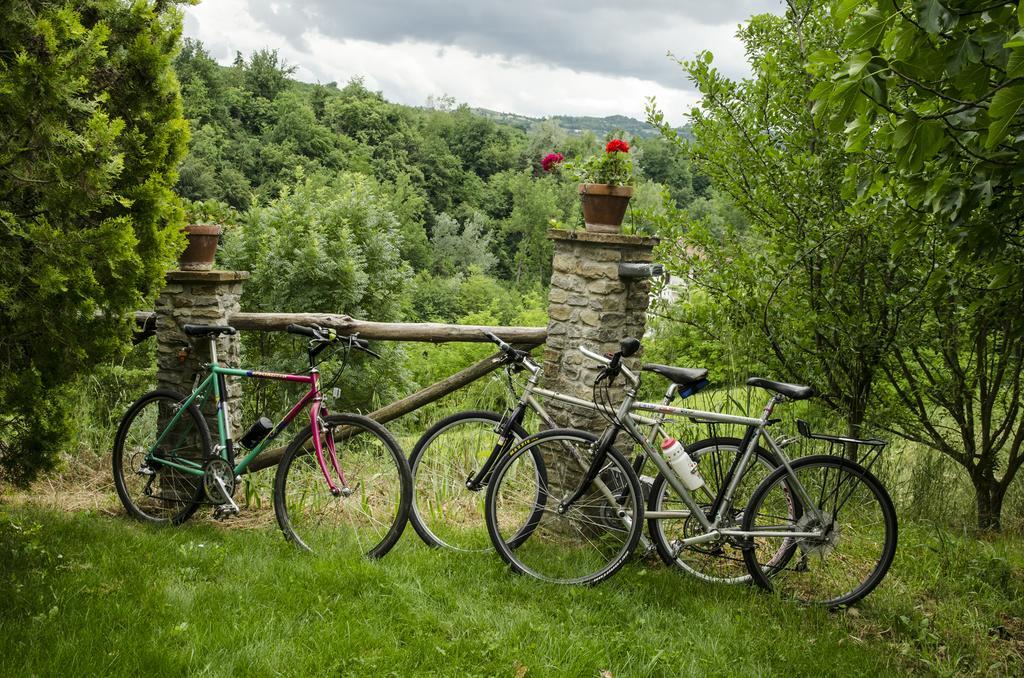 B&B Il Sole Delle Rive Sinio Екстериор снимка